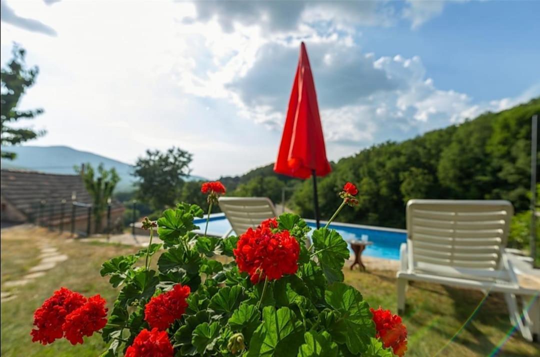 Grabovac  Honey Houseヴィラ エクステリア 写真