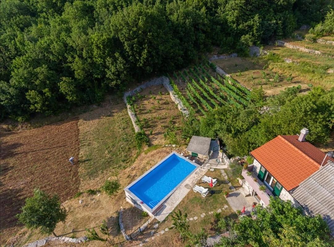 Grabovac  Honey Houseヴィラ エクステリア 写真